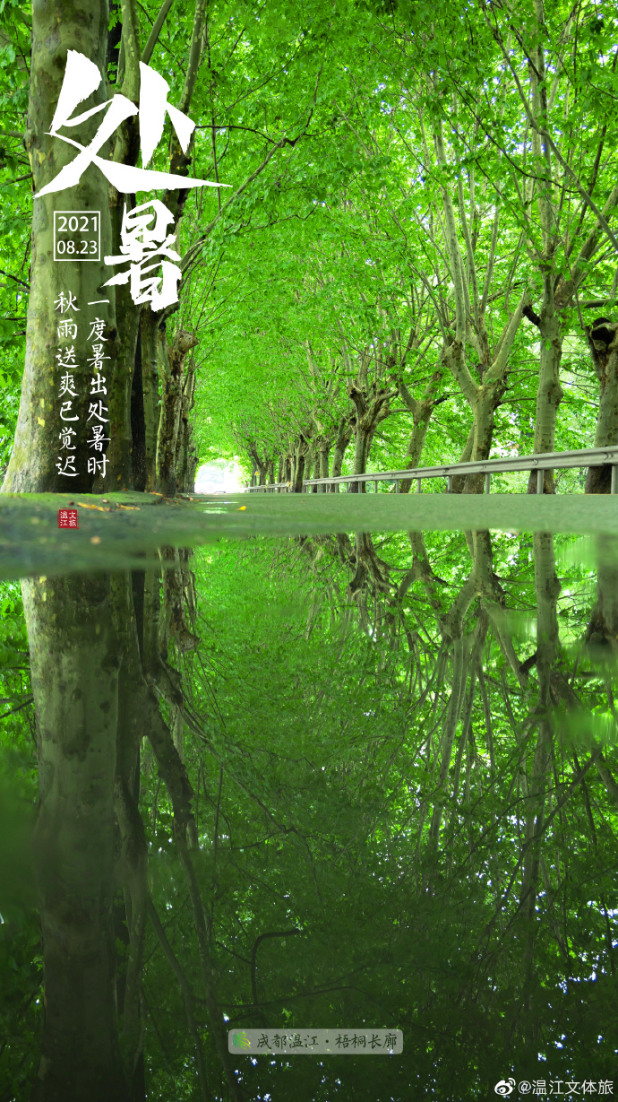 每日一图
