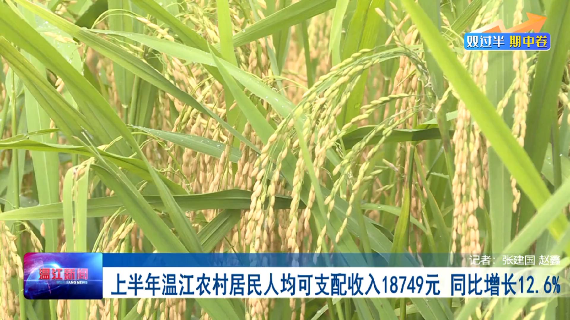 双过半 期中卷——上半年温江农村居民人均可支配收入18749元，同比增长12.6％