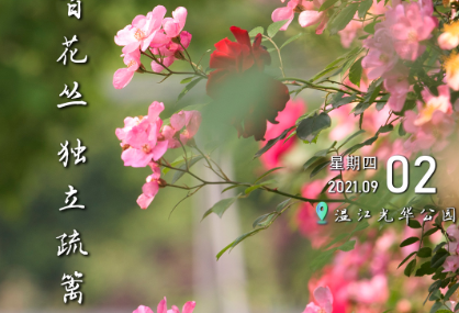这里是温江·2021年9月2日