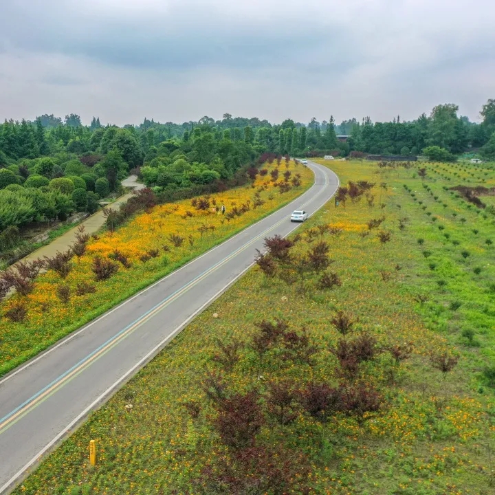 快来开启中秋假期！温江旅游路线已为你准备好~
