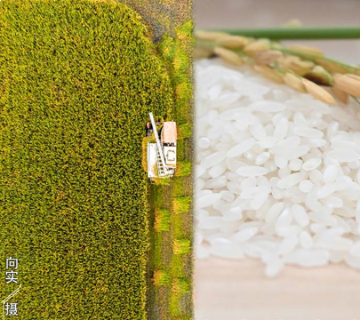 这里是温江·2021年9月23日