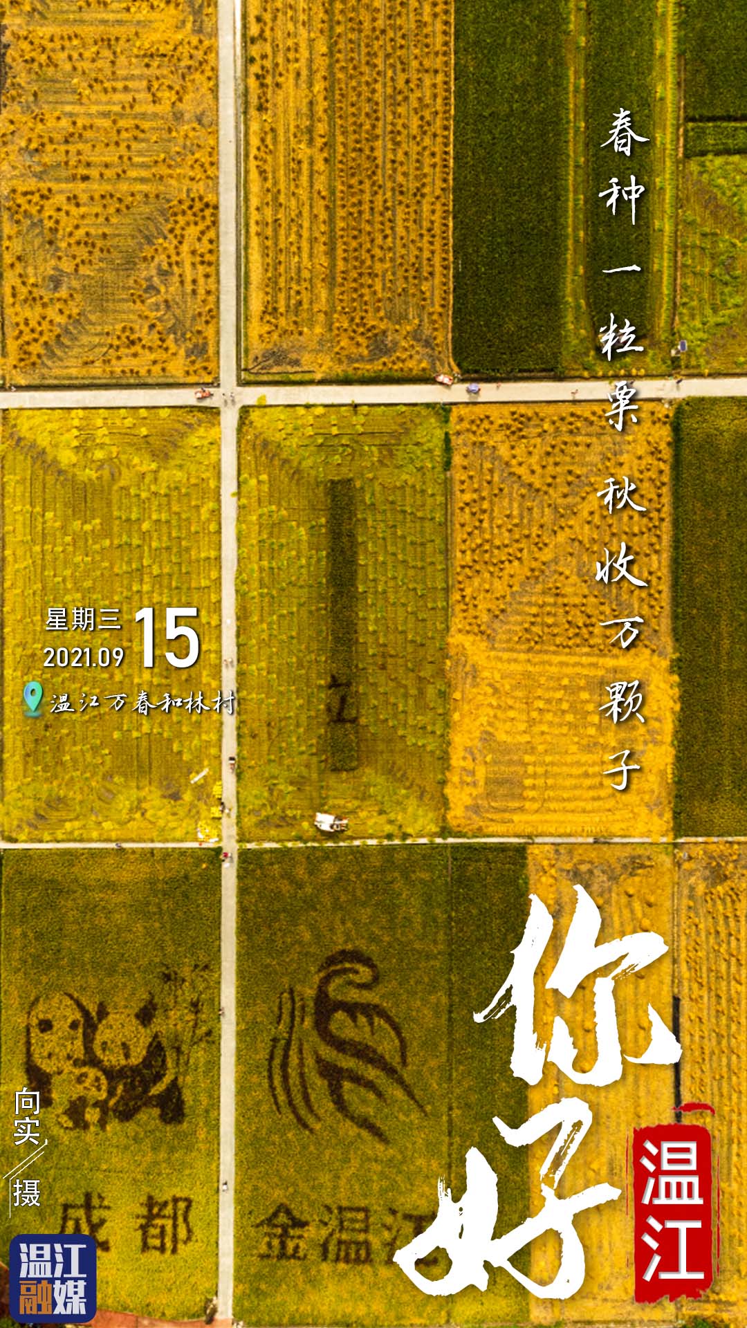 这里是温江·2021年9月15日