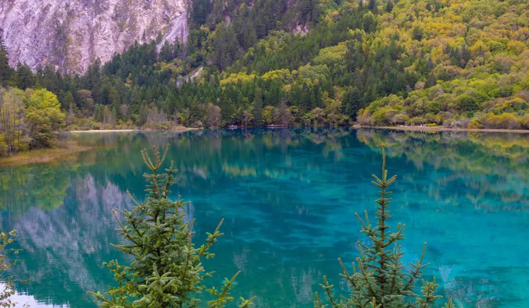 刚刚，九寨沟全域恢复开放！88个重大文旅项目签约