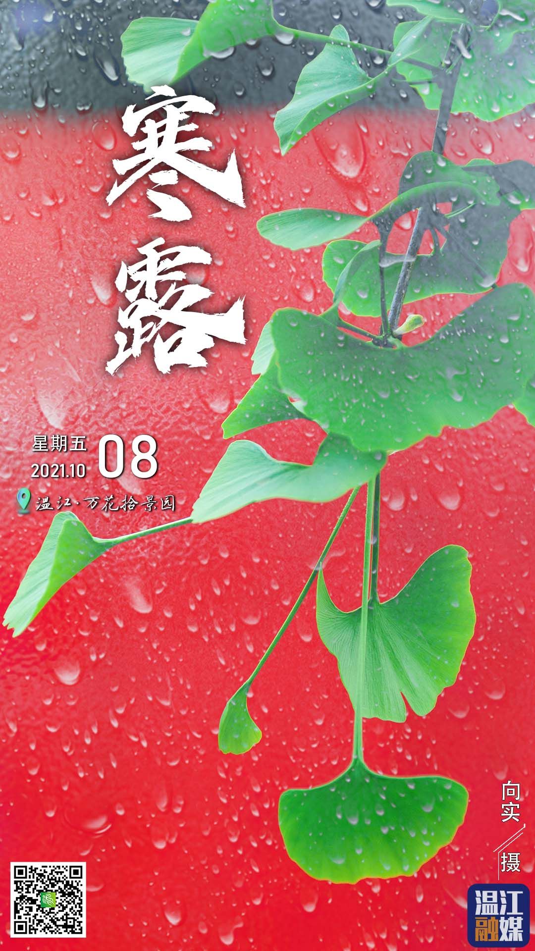 这里是温江·2021年10月8日