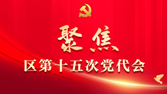 区纪委举行十五届第一次全体会议