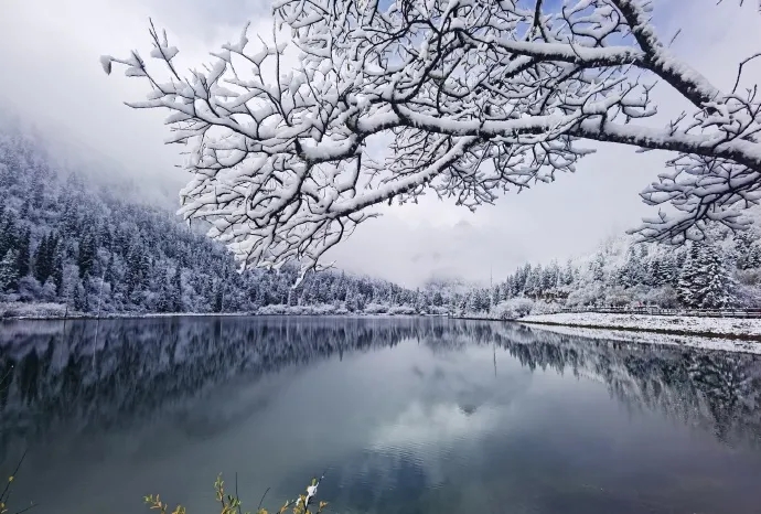 要出太阳了！周四最高气温回升到20℃
