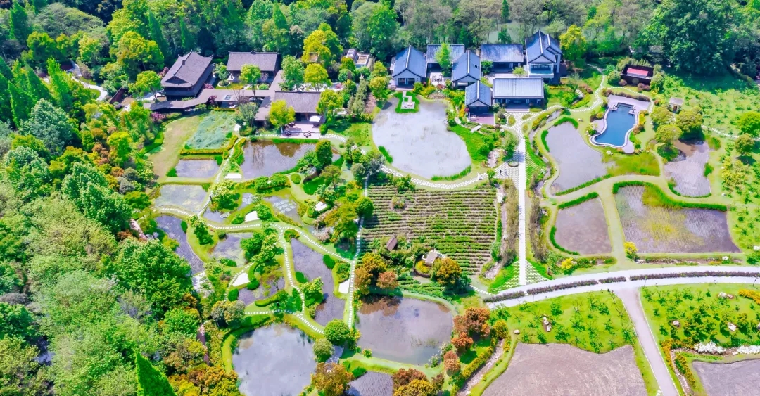 凉山州党政代表团来温考察