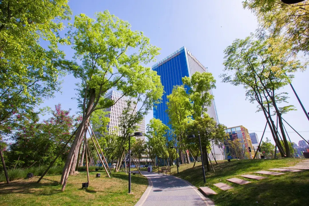 西部首个！成都再添一“国字号”名片