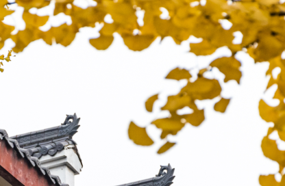 这里是温江·2021年11月29日