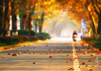 这里是温江·2021年11月30日