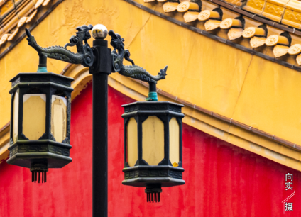 这里是温江·2021年11月26日