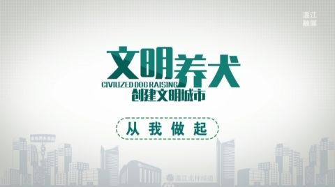 文明养犬公益宣传