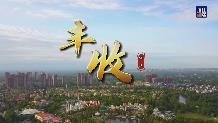 秋分之日，丰收正当时！